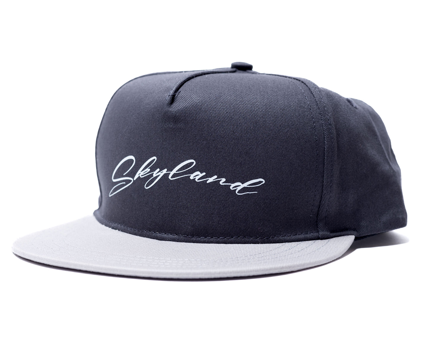 Skyland Snapback